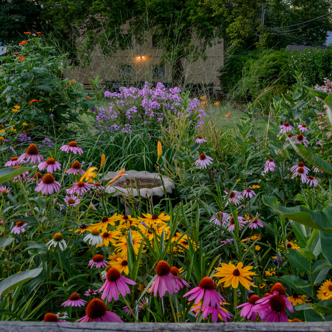 Spring Nature 2025 The 2025 Spring Equinox: A Moment of Balance and Renewal β BathBerri