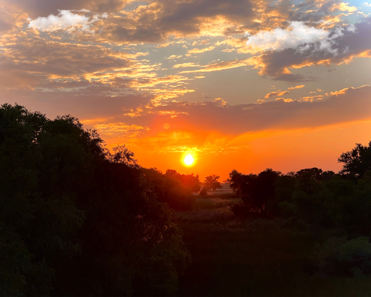 5-Minute Morning Rituals to Reset Your Mind & Skin