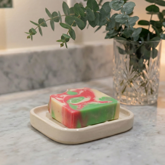 Colorful soap bar on a white dish with a vase of greenery in the background