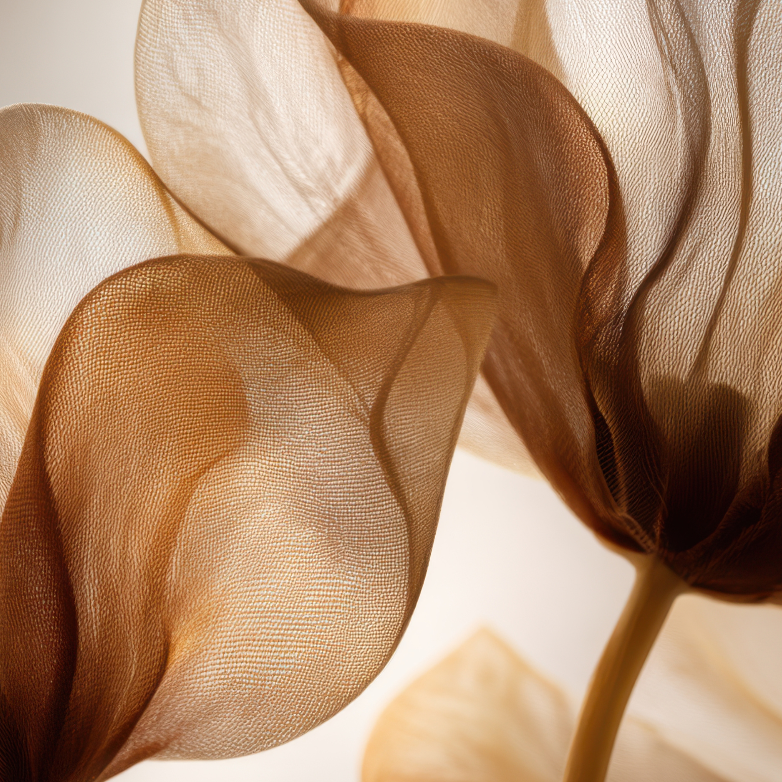 Close-up of brown fabric with a soft focus background